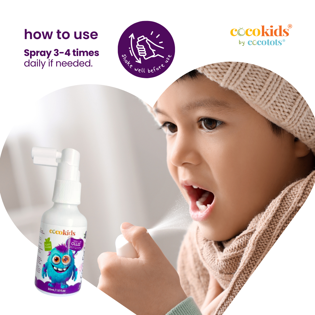 Cocospritz Blackcurrant